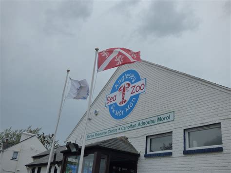 Anglesey Sea Zoo - sign and flags | Zoo, Anglesey, Aquarium