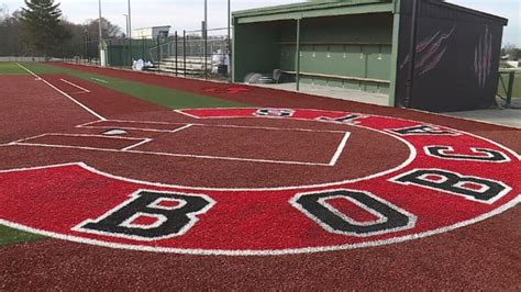 New turf laid down at Grand Blanc High School baseball, softball fields