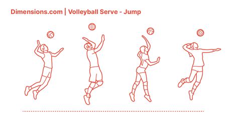 Volleyball Jump Serve Dimensions & Drawings | Dimensions.com