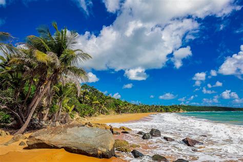 Paisajes De Playas De Puerto Rico