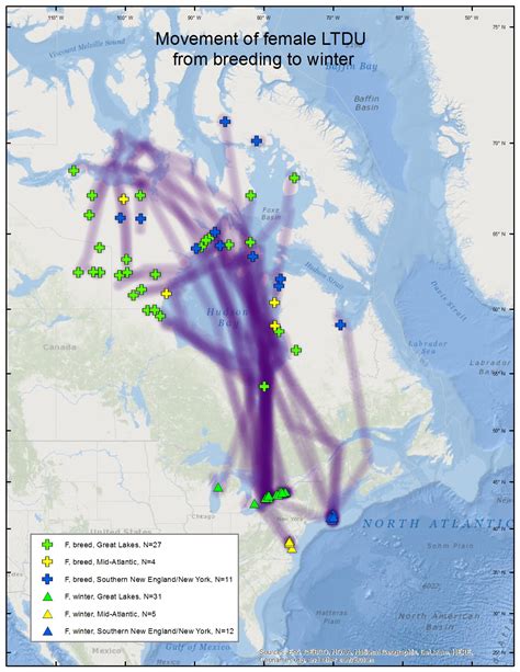 Long-tailed Duck migration maps - Sea Duck Joint Venture