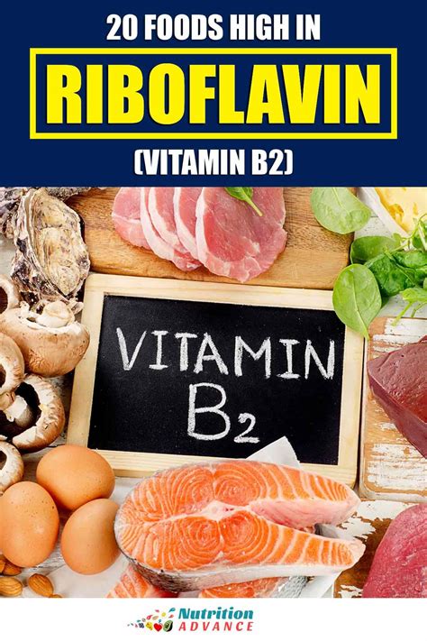 The Top 20 Foods High In Riboflavin (Vitamin B2) | Vitamin b foods ...