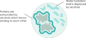 Principals of various protein precipitation methods - BQC - Bioquochem