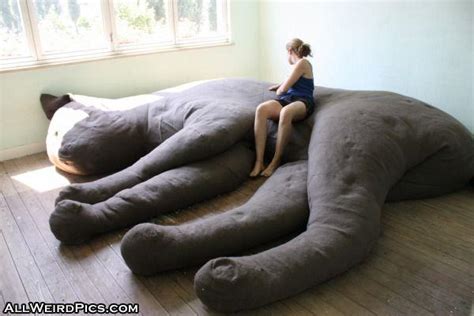 10 Really Weird Beds You Might Not be Able to Sleep In | Curious and Cozy