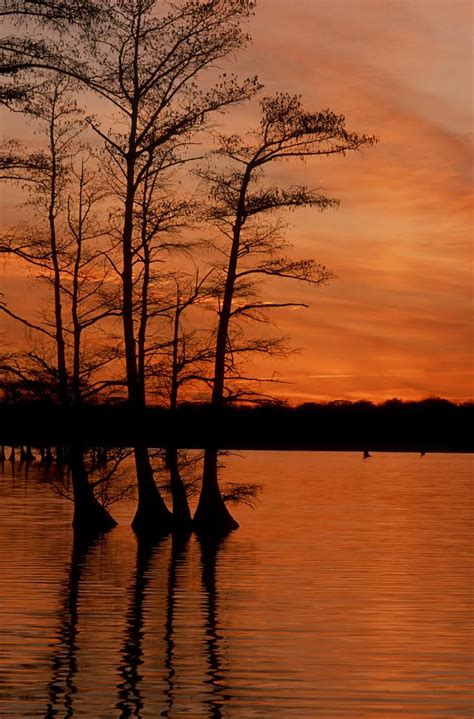 Reelfoot Lake State Park - The Vacation Gals