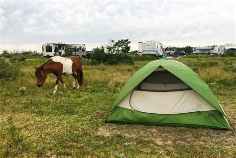 9 Shenandoah Valley Campgrounds Offering National Park-Worthy Views