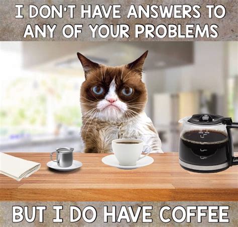 Grumpy Cat Coffee ☕️ | Cat quotes funny, Grumpy cat humor, Grumpy cat