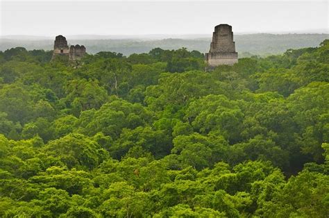 Tikal Maya Ruins – Belize Adventure