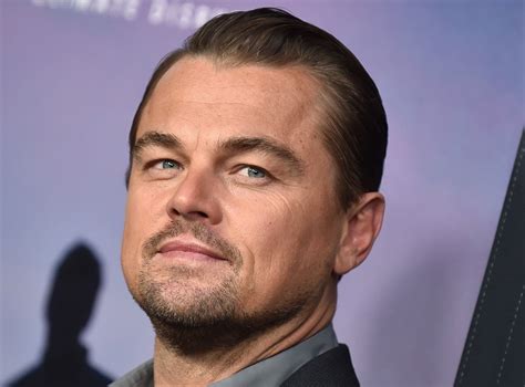 13 Elegant Leonardo Dicaprio Beard Styles — Beard Style