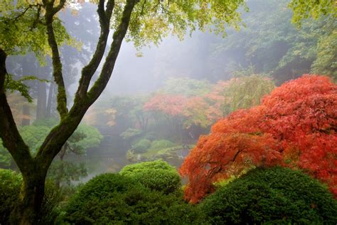 20 Stunning Photos Of Oregon's Fall Foliage | That Oregon Life