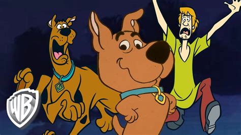 Scooby Doo And Scrappy Doo