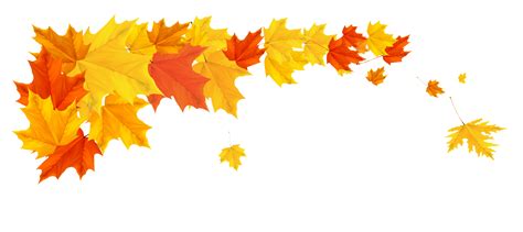 Orange Fall Leafs PNG Clipart Picture | Leaf images, Maple leaf images ...