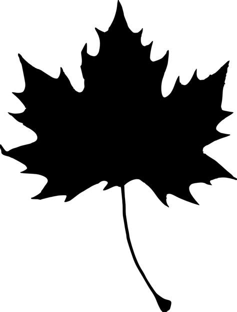 Maple Leaves Silhouette at GetDrawings | Free download