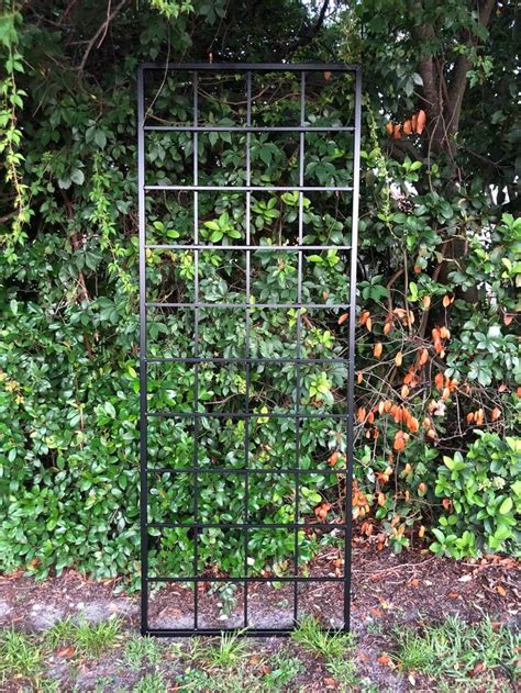 Large Multi Sizes, Classic Metal Garden Outdoor Trellis, Wall Mounted ...