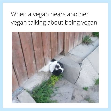 16 Relatable Funny Vegan Memes To Share | VegNews