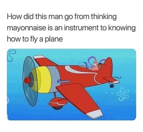 Does mayonnaise fly? : r/SpongebobMemes