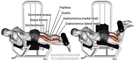 Hammer Strength Prone Leg Curl