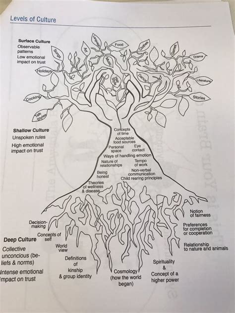 Culture Tree | Handling emotions, Culture, Identity