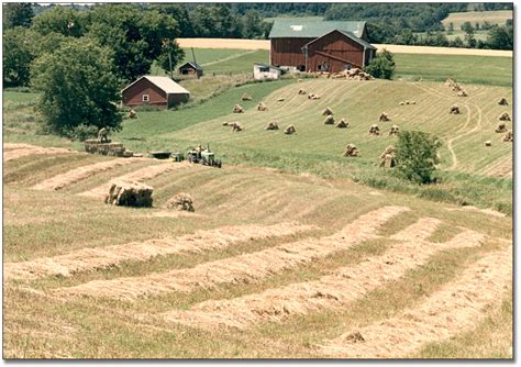 Ontario's Agricultural Past: Farmer harvesting hay