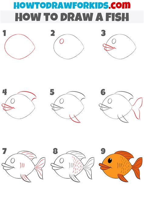 How To Draw A Fish Step By Step