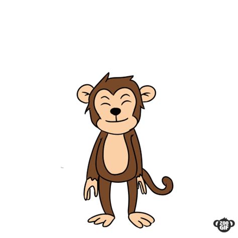 Happy Jumping Monkey GIF | Monkey gif, Monkeys funny, Monkey