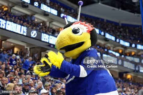 494 Tampa Bay Lightning Mascot Stock Photos, High-Res Pictures, and ...