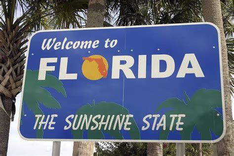 Are You Required To Register A Gun In Florida - Bullard Whictime