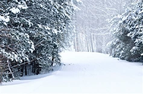 Zephyr Cove Snowmobile Center • Lake Tahoe Guide