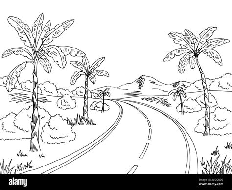 Jungle road graphic black white landscape sketch illustration vector ...