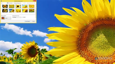 Sunflower Windows 7 Theme 1.00 - Download, Screenshots