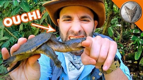 Snapping Turtle BITES Me.. AGAIN! - YouTube