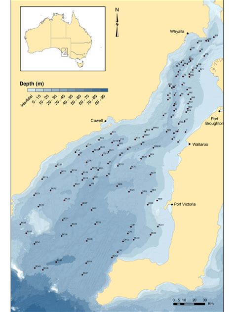 Bathymetric map of Spencer Gulf showing the locations of 120 sites ...