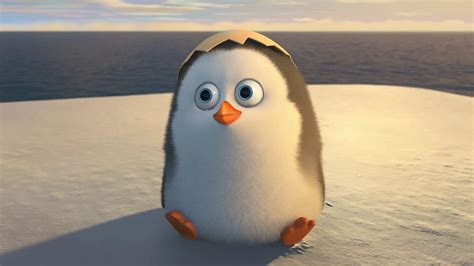 Cute Penguin Backgrounds (48+ pictures)