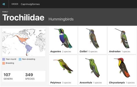 Species of Hummingbirds in the Mid-West Region – Nature Blog Network