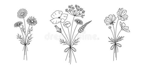 Floral Line Art Bouquets Set, Vector Illustration Stock Vector ...