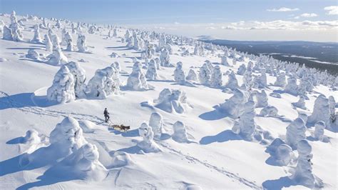 9 Reasons to Visit Lapland in Winter | Visit Finnish Lapland