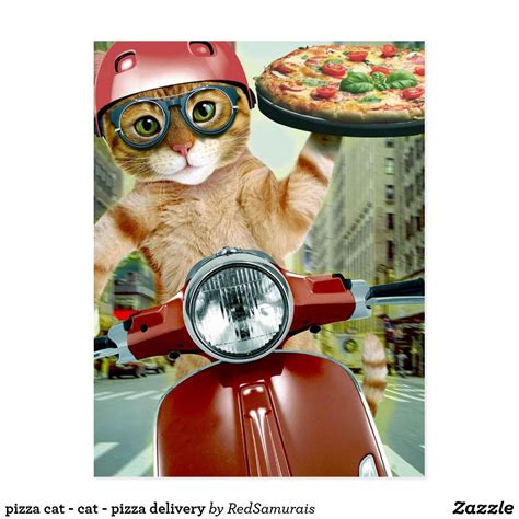 pizza cat - cat - pizza delivery postcard | Zazzle.com | Pizza cat ...