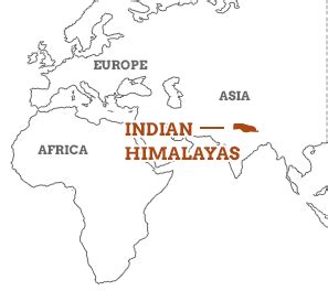 India himalayas travel guide