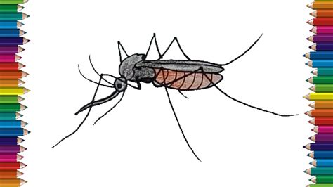 How To Draw A Mosquito Really Easy Drawing Tutorial Drawing | Images ...