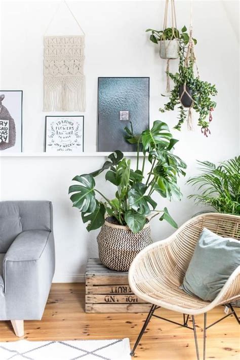 Guía de Plantas: Philodendro Monstera - Depto51 Blog | Living room ...