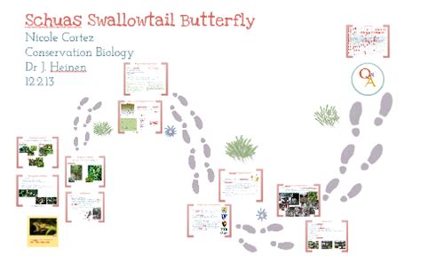 Schaus Swallowtail Butterfly Habitat Enhancement Project by nicole ...