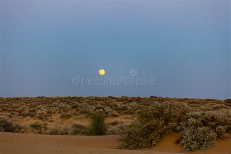 Cold night in the desert stock photo. Image of color - 149731920