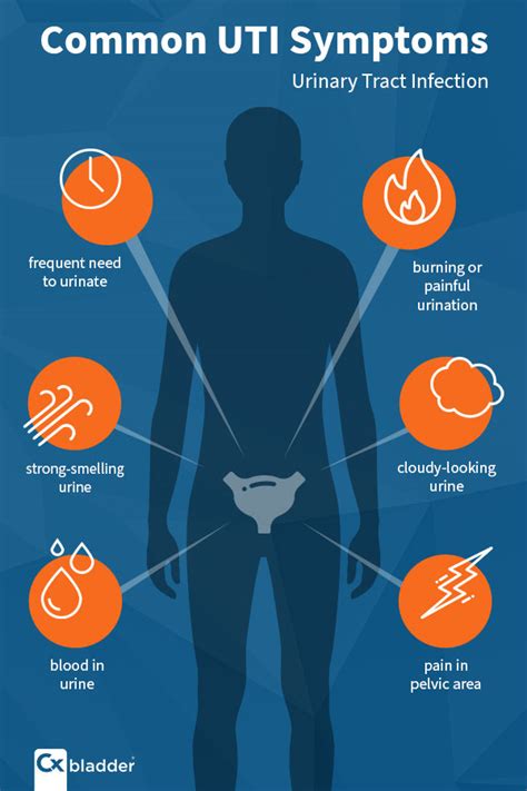 Can Recurrent UTI Symptoms Be a Sign of Cancer? | Cxbladder