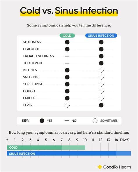 Is It a Sinus Infection or a Cold? How to Tell the Difference - GoodRx