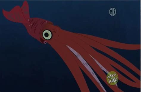 Wild Kratts Giant Squid