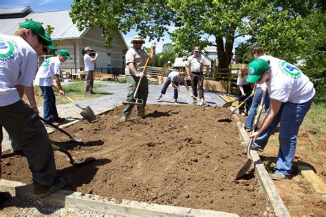 Free picture: gardening, outdoor, work, youth, man