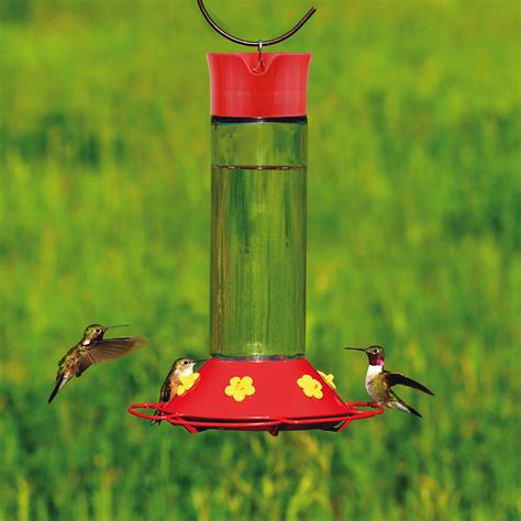 Ebern Designs Alsawwan Glass Hanging Hummingbird Feeder | Wayfair