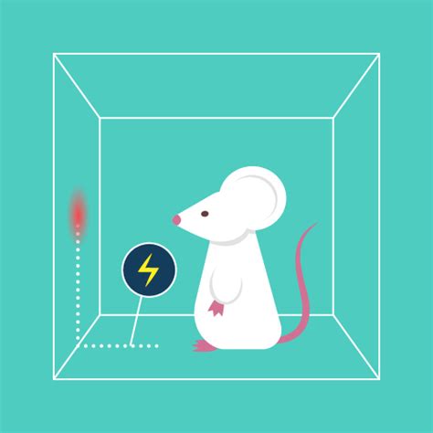 Positive Reinforcement Using Operant Conditioning - Maze Engineers