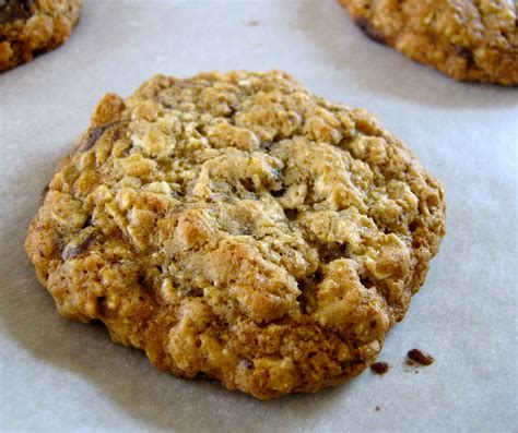 Best Low Calorie Oatmeal Cookies – Easy Recipes To Make at Home