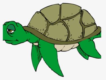 Sea Turtle Clipart Cute - Sad Sea Turtle Clipart, HD Png Download ...